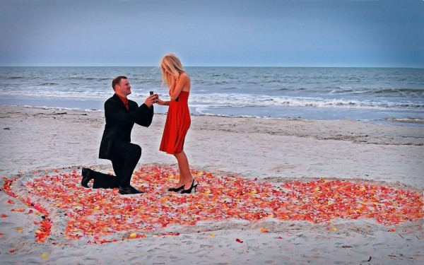 weblywall.com-Propose Day-14.jpg