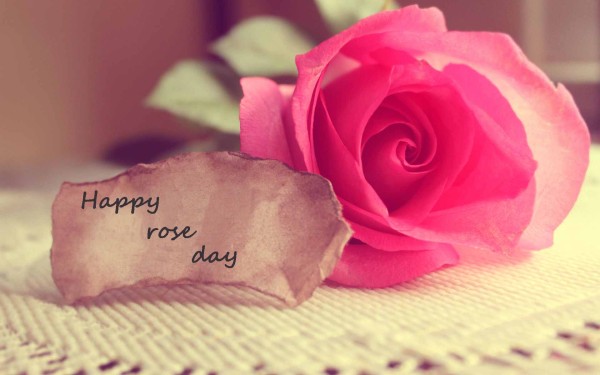 weblywall.com-Rose Day-10.jpg