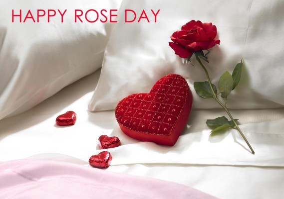 weblywall.com-Rose Day-03.jpg