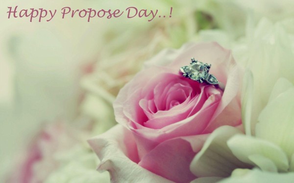 weblywall.com-Propose Day-15.jpg