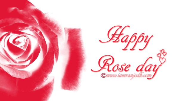 weblywall.com-Rose Day-15.jpg