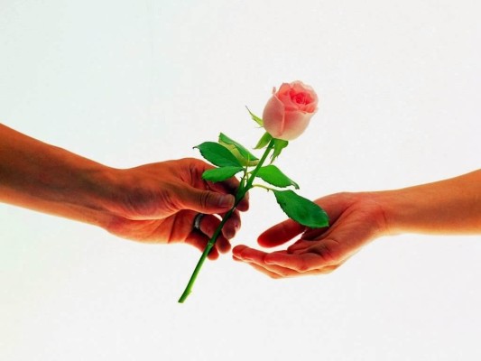 weblywall.com-Rose Day-07.jpg